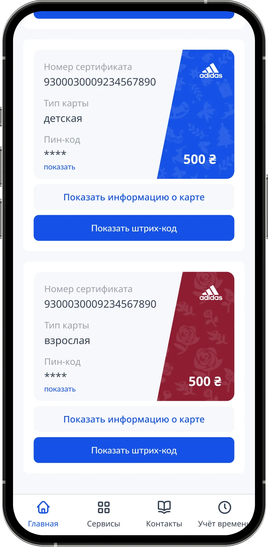 Card details with number and PIN code